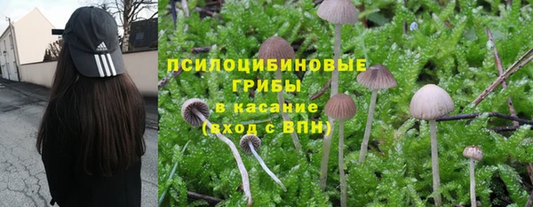 первитин Михайловка